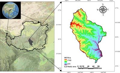 Plant diversity drives soil carbon sequestration: evidence from 150 years of vegetation restoration in the temperate zone